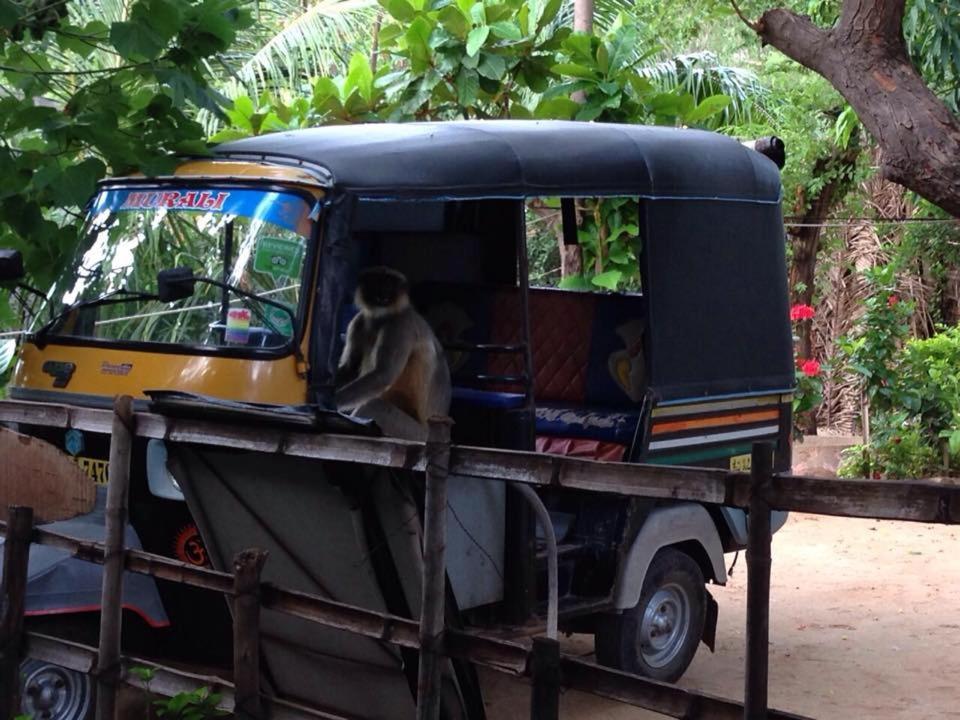 Murali Guesthouse Hampi Dış mekan fotoğraf